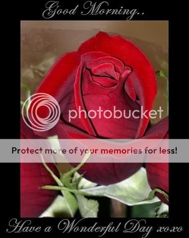 good morning Pictures, Images and Photos