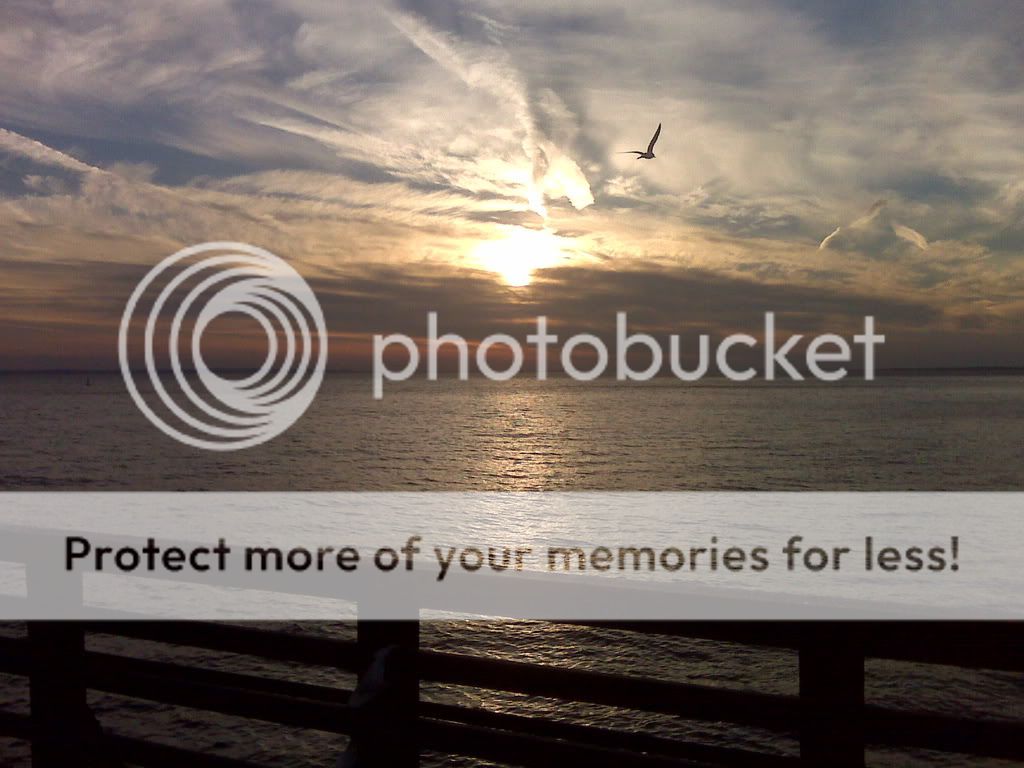 [Image: IMG00077.jpg]