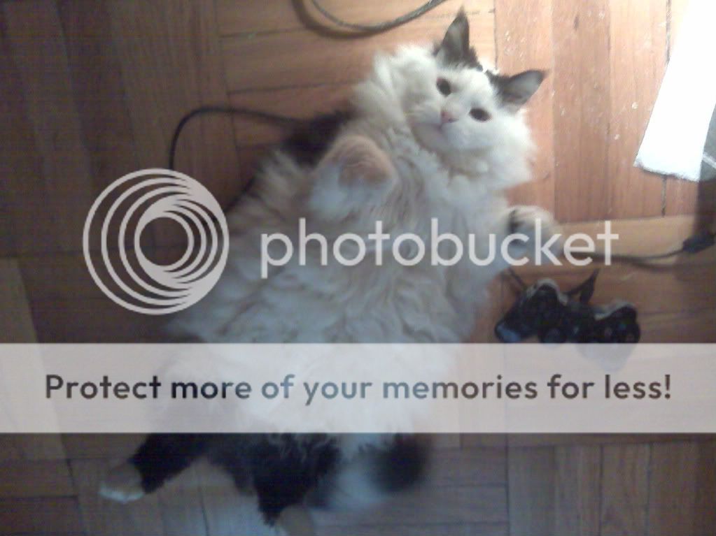 [Image: shine-1.jpg]