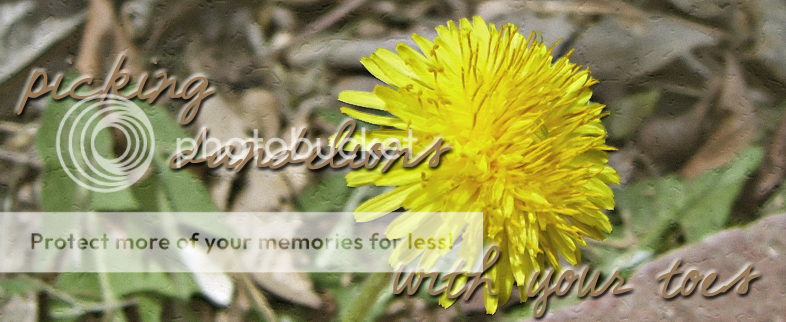 Picking Dandelions With Your Toes